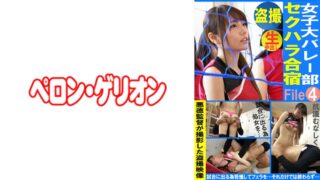 Thumbnail of post image 006